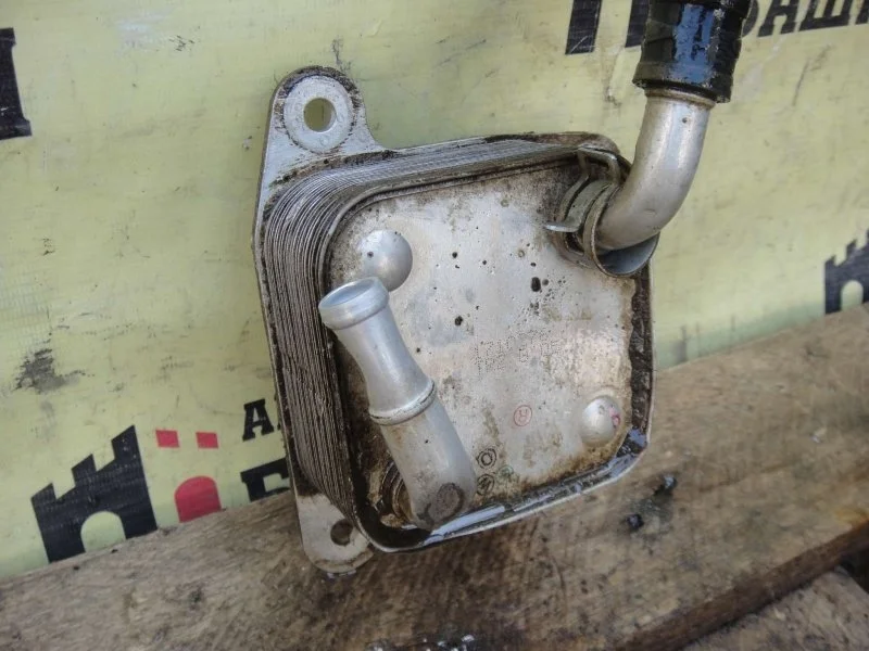 Радиатор масляный Mitsubishi L200 1240A100 KL1T