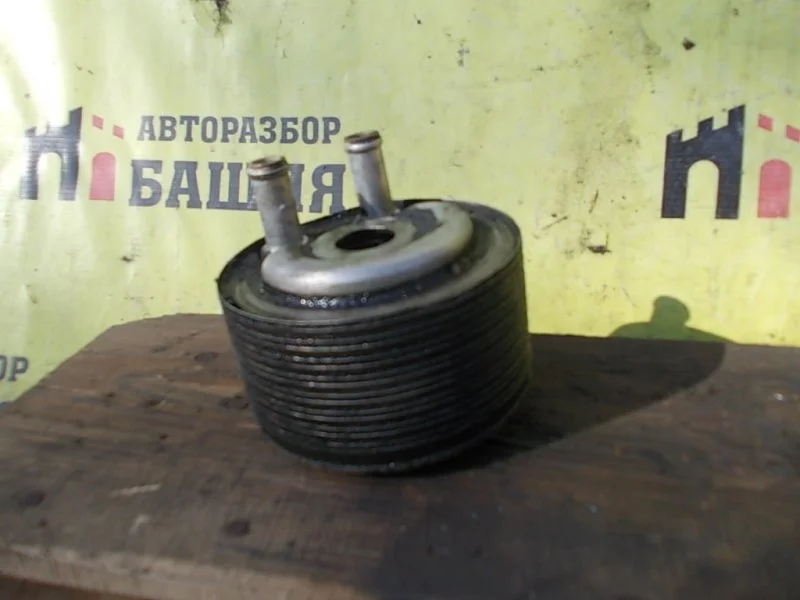 Радиатор масляный Nissan np300 213055M301 R51