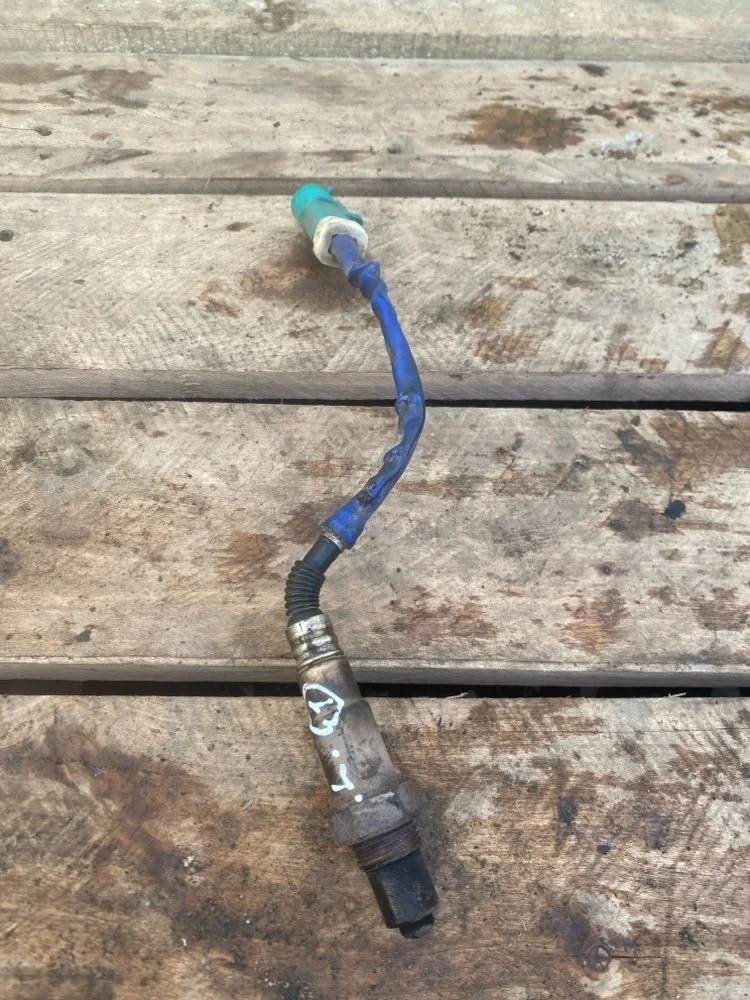 Лямбда-зонд Ford Focus 2012 1346366 3 PNDA, передний