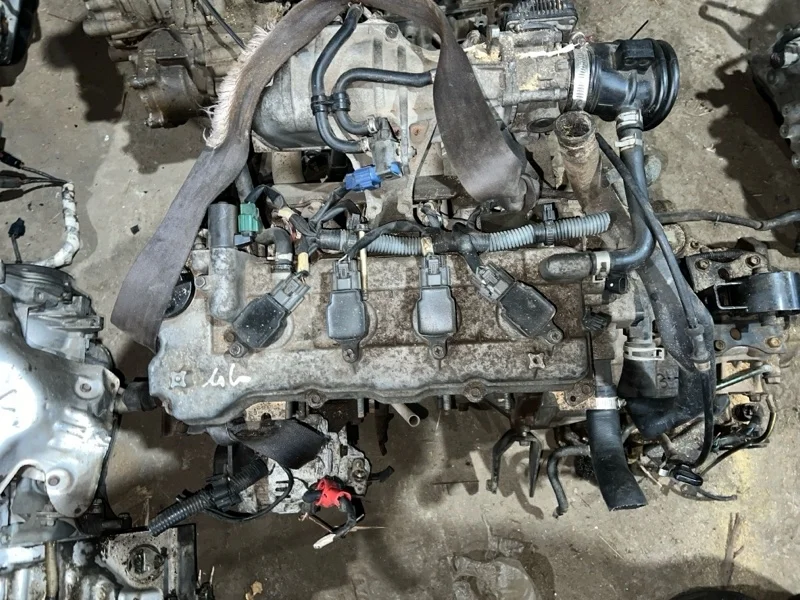 Двигатель Nissan Primera 2009 P12E