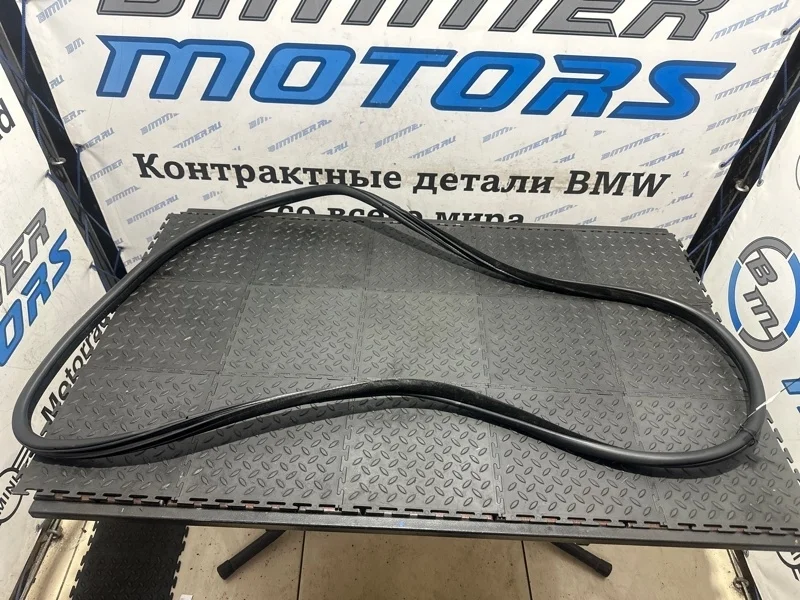 Уплотнительная резинка двери Bmw 550Ix 51727278503 F10 N63B44A, передняя