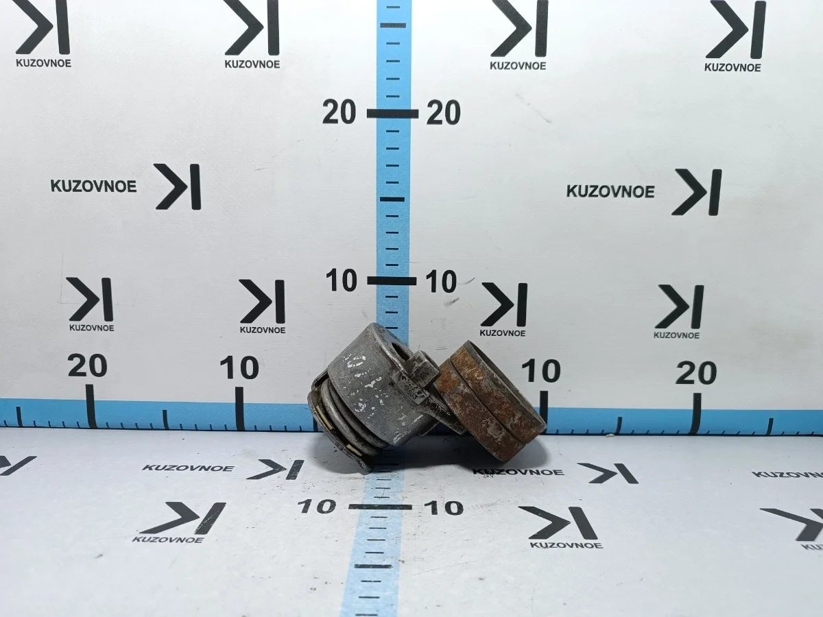 Ролик-натяжитель Renault Duster 2013 HSM