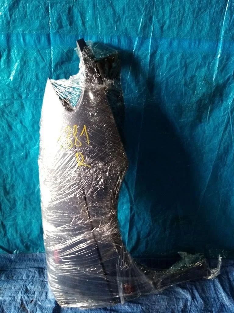 крыло RENAULT SCENIC JA0G -