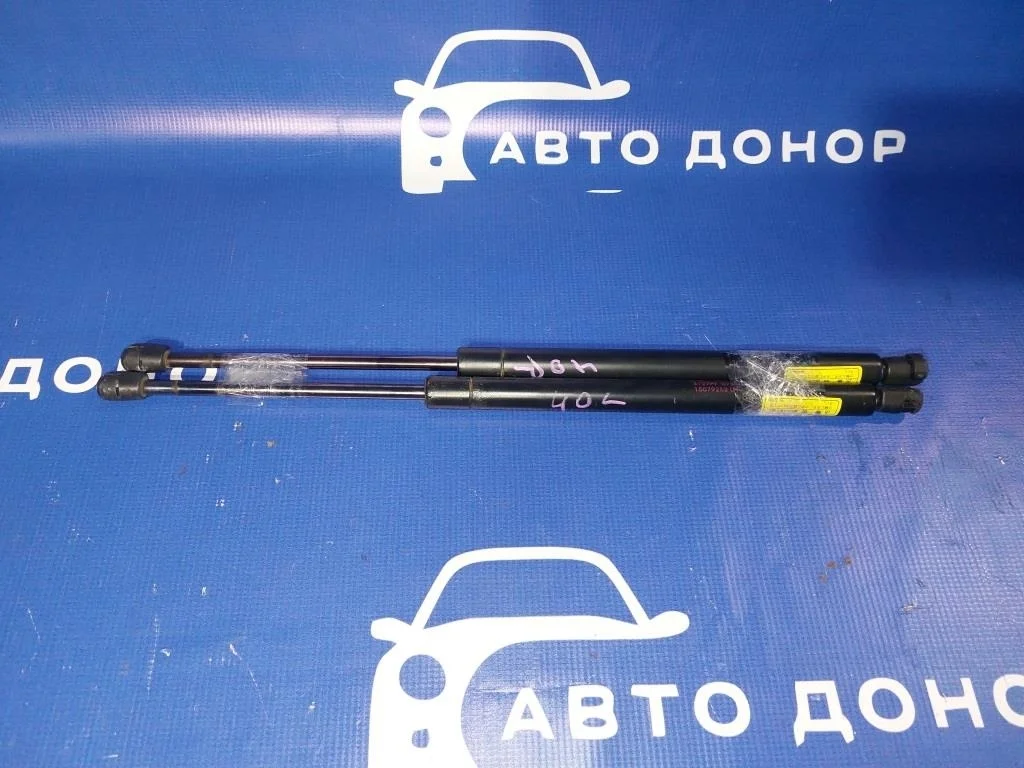 амортизатор двери багажника CHEVROLET TRAILBLAZER GMT360 LL8