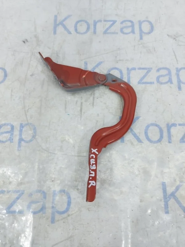 Петля капота Kia XCeed 2023 CD