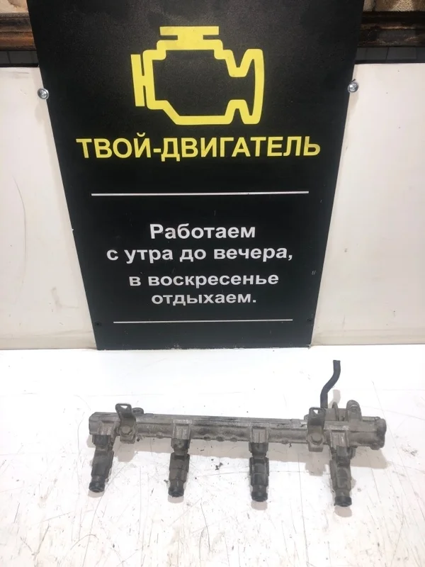 Топливная рейка Mitsubishi Lancer 2009