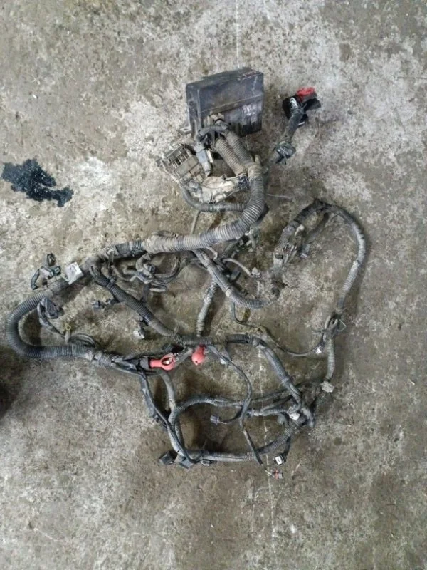 Проводка двигателя Nissan Pathfinder (R51M) 2004-2013 2010 24382EB301 2.5 D YD25DDTI