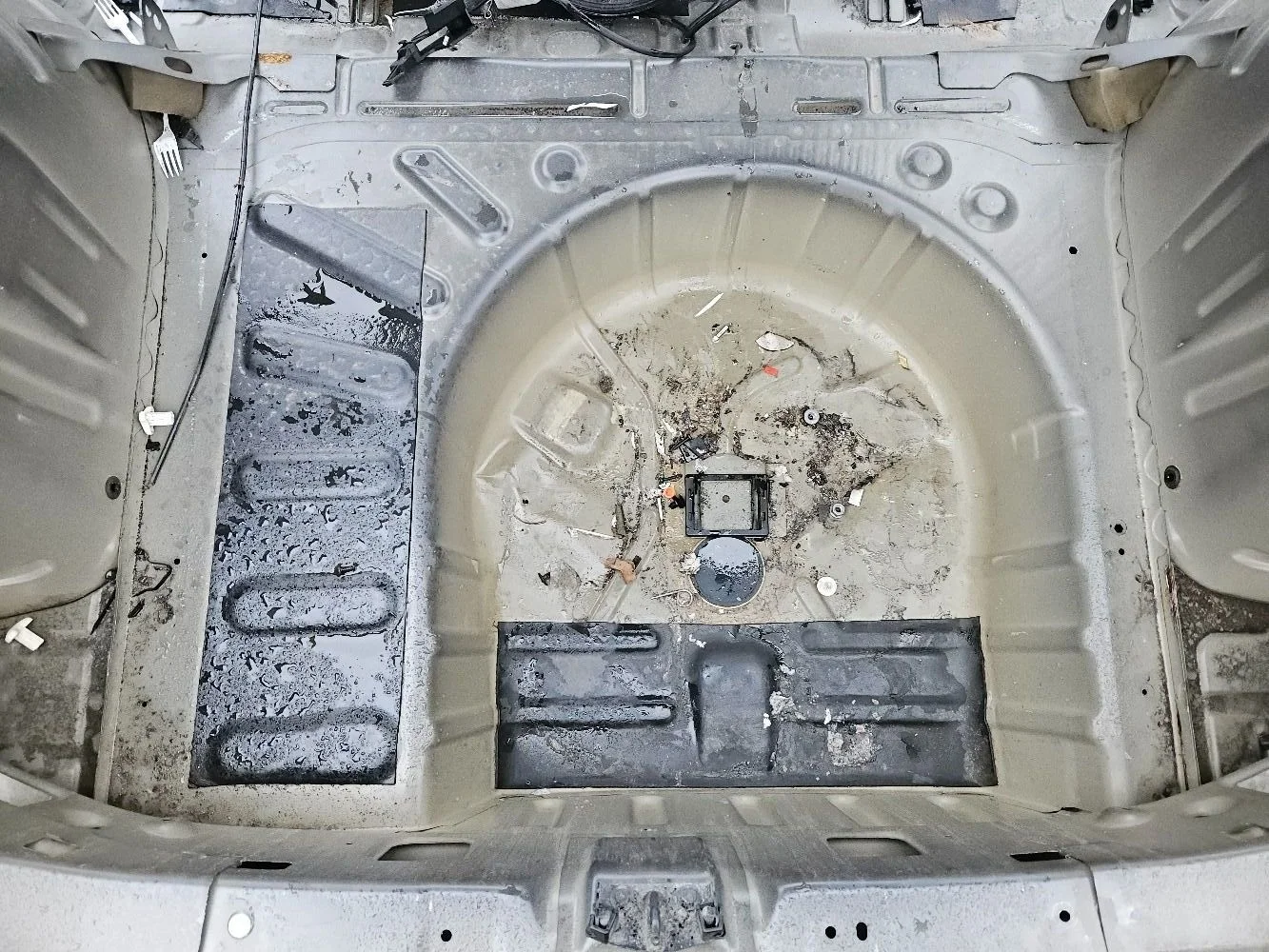 Ванна багажника на Peugeot 308