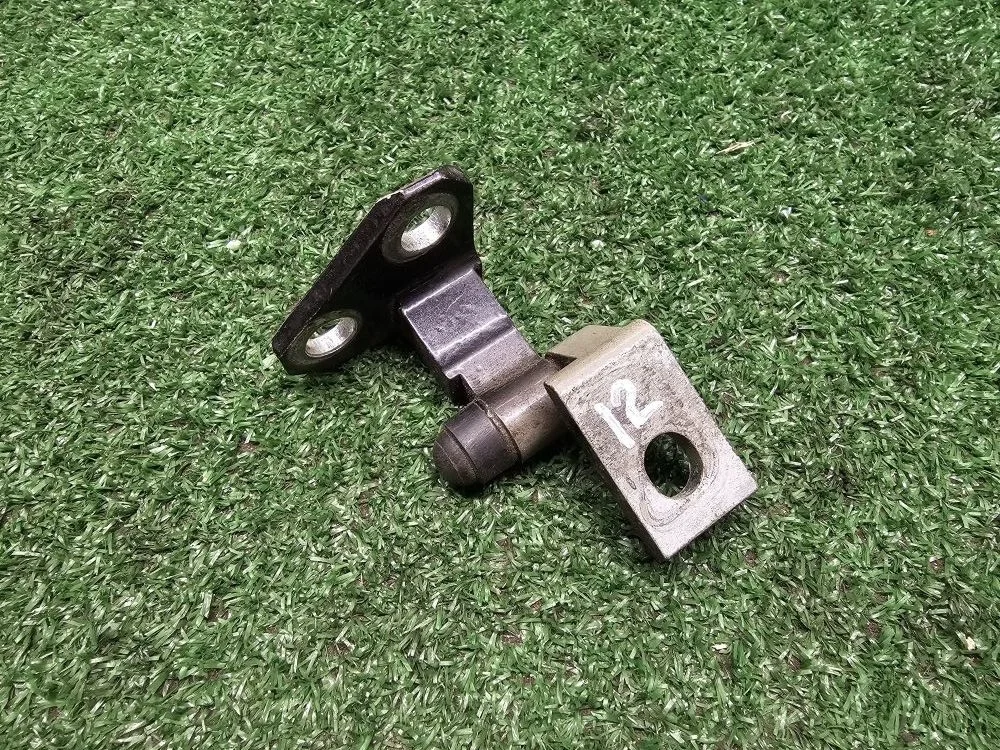 Петли задней левой двери Volkswagen Passat B6