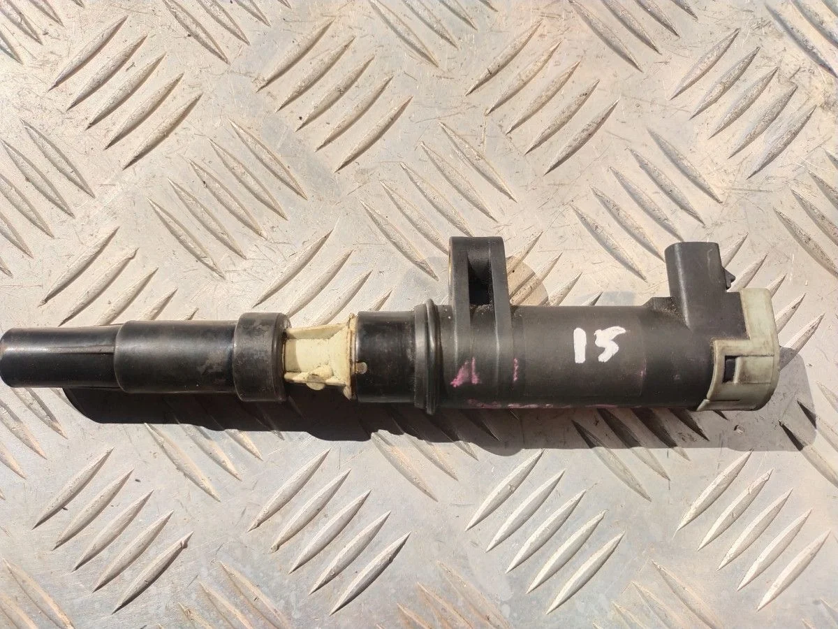 Катушка зажигания Renault Scenic