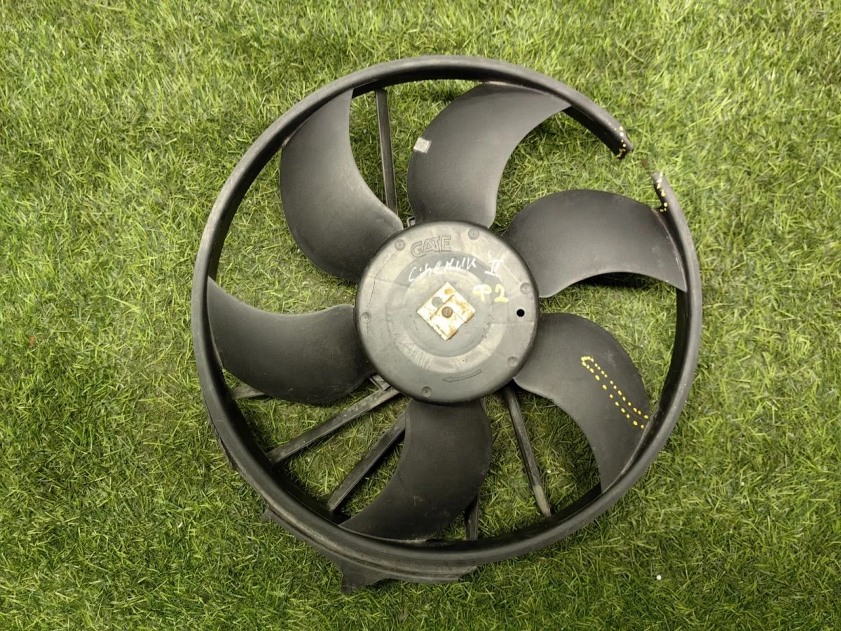 Вентилятор радиатора Renault Scenic