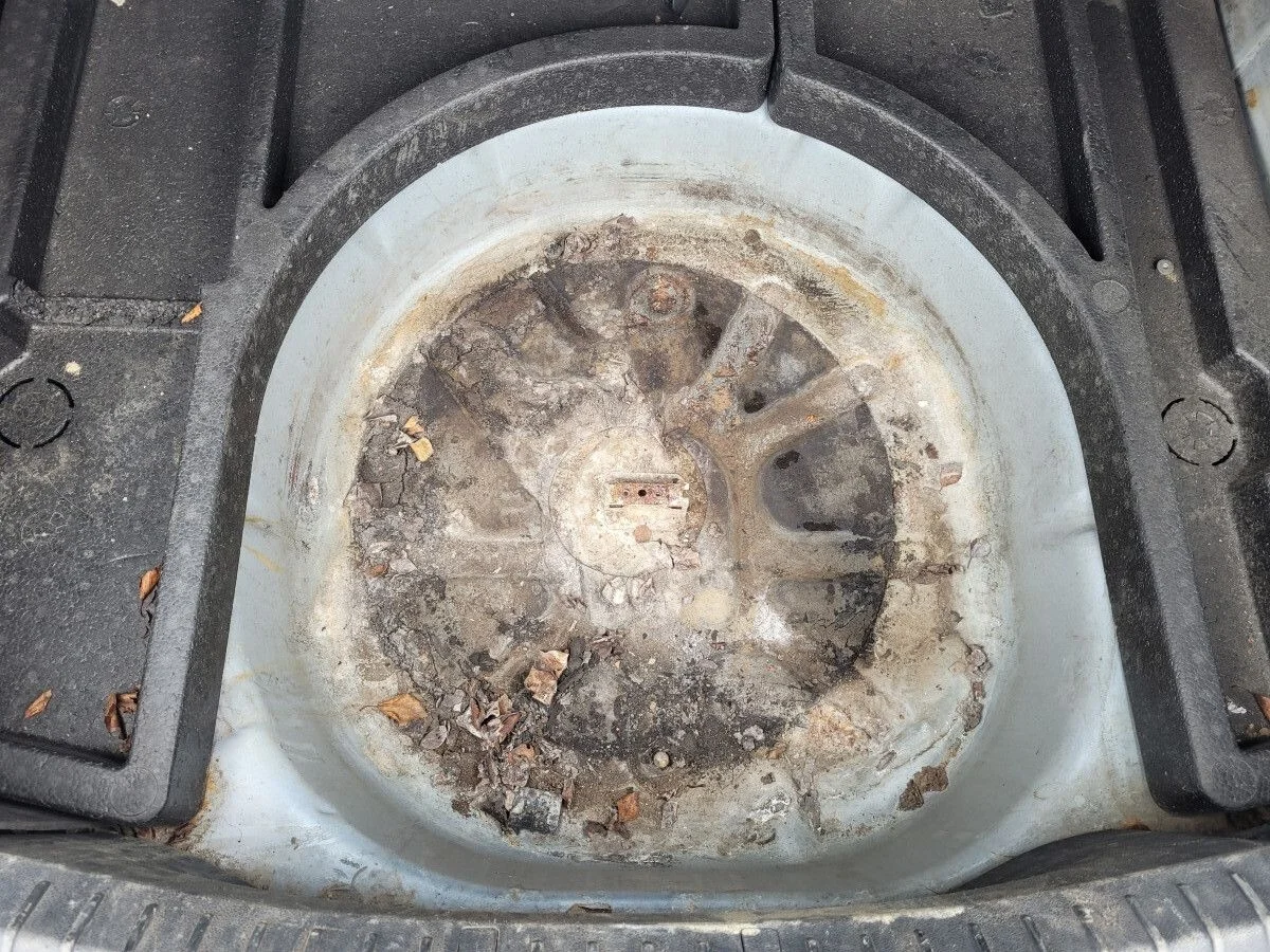 Ванна багажника (металл) на Ford Focus 2 седан