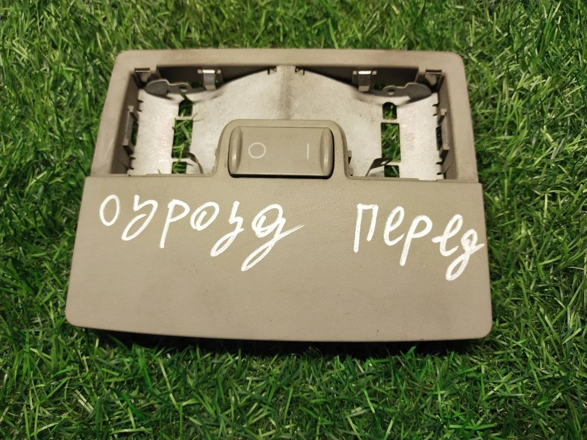 Плафон салонный Audi A6 Allroad Quattro C5 (2000—2006)