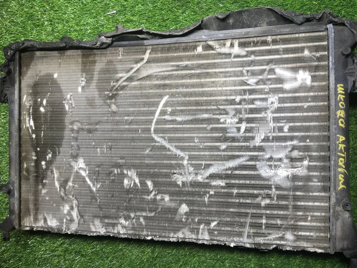 Радиатор охлаждения двигателя Volkswagen Passat VI