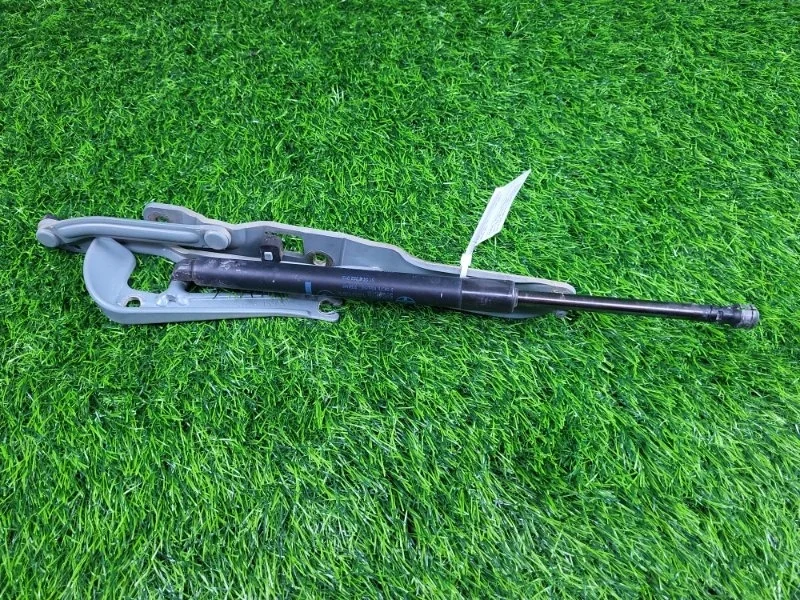 Амортизатор багажника BMW 5-Series 2002 51248222913 E39 M54 B25, задний