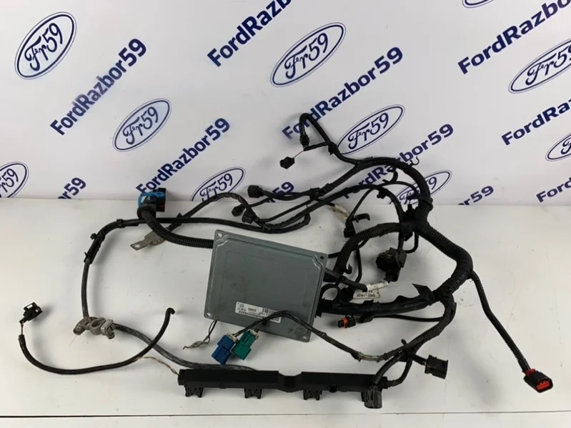 Проводка подкапотная Ford Focus 2 2009 1333603 CB4 1.6 (SHDA)