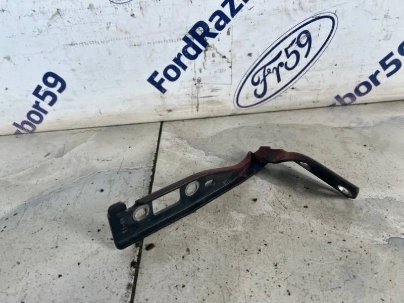 Петля капота Ford Fusion 2007 1324621 CBK 1.4 (FXJA), правая