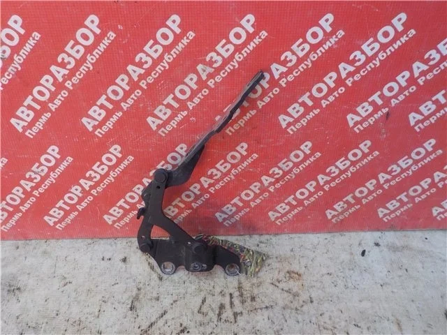 Петля капота BMW 3 2005-2012 41617210678 E90, передняя правая