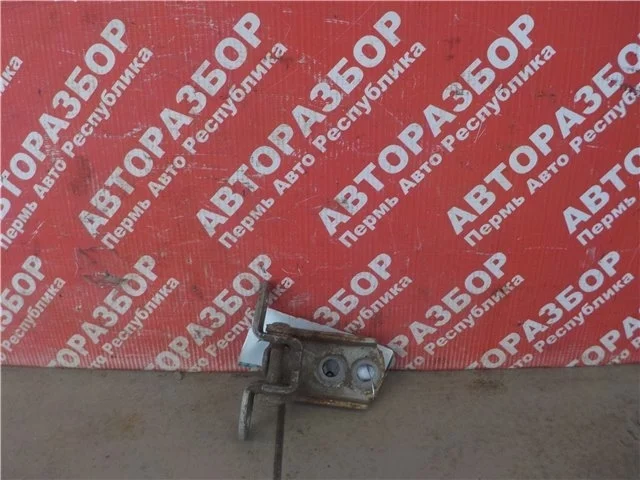 Петля двери нижняя Nissan Sunny 2002 824213J100 N16 QG15DE, задняя левая