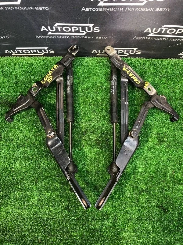 Петли крышки багажника Hyundai Sonata 2005 792103D000 EF G4JP 2.0, задние