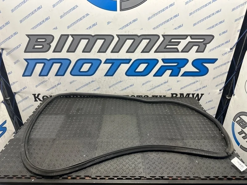 Уплотнитель двери Bmw 750Li 2013 51337177998 F02 N63B44B, передний