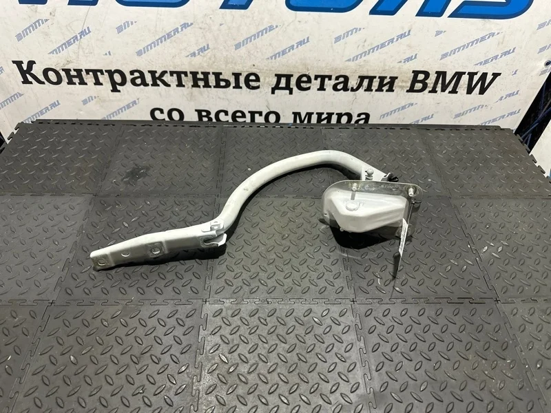 Петля багажника Bmw 750Li 2013 41627189257 F02 N63B44B, левая