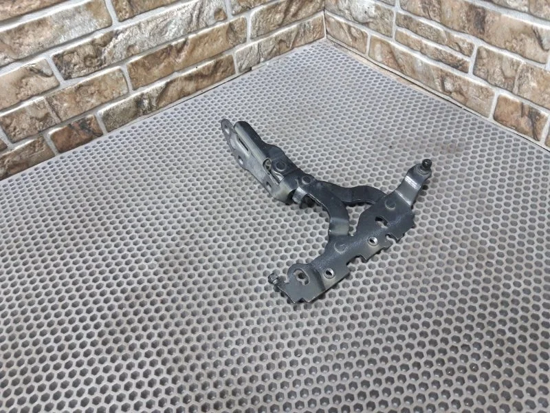 Петля капота Mercedes-Benz CLS-Class 2013 W218