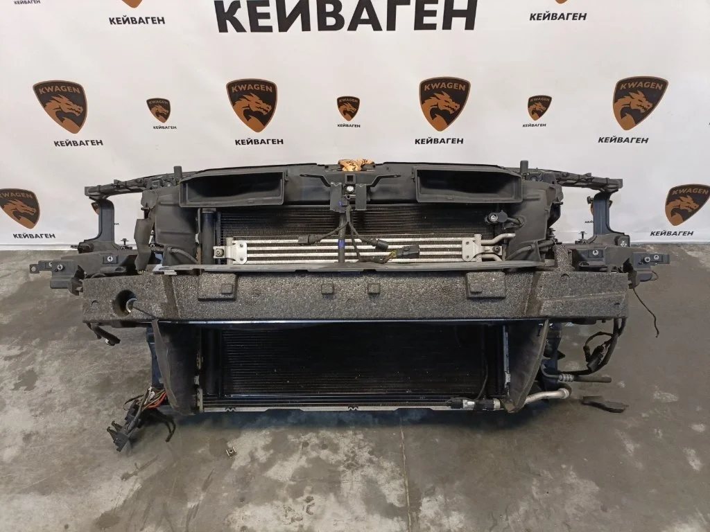 Телевизор с радиаторами Audi A8 2011 D4