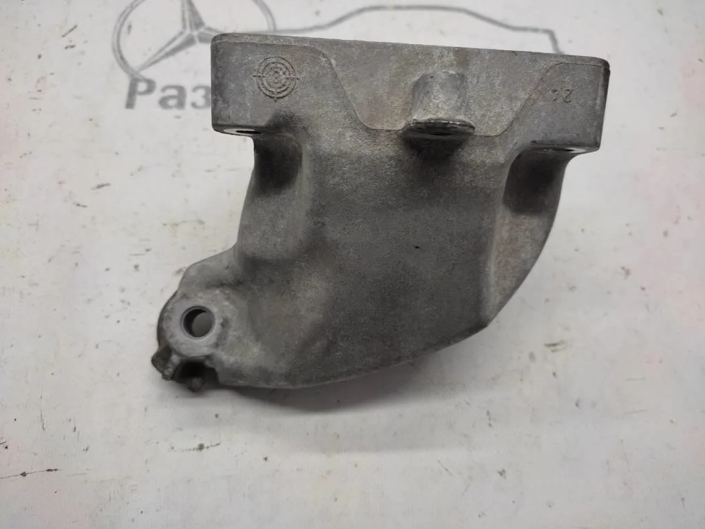 Лапа правая Mercedes-Benz