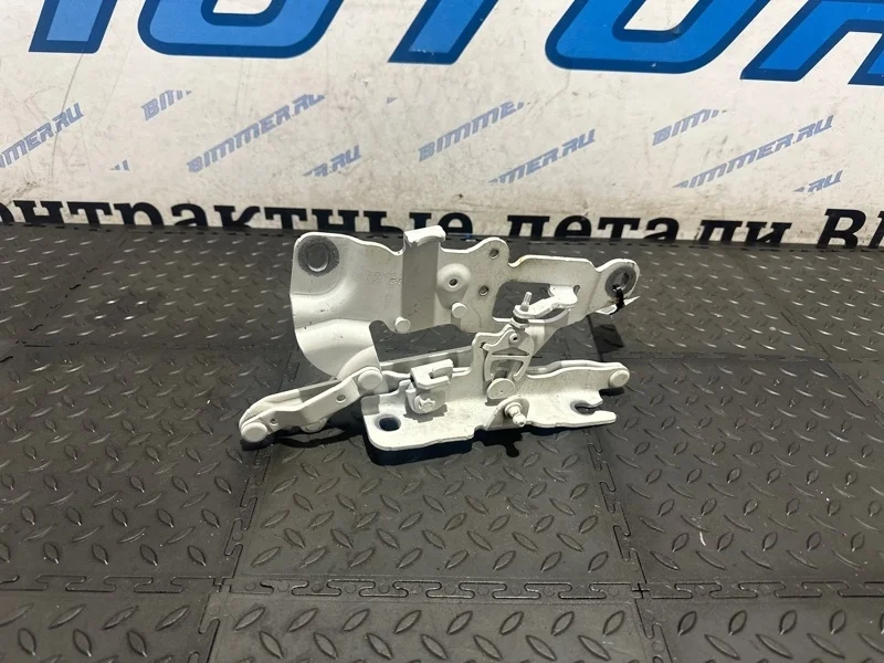 Петля капота Bmw 750Li 2013 41617291702 F02 N63B44B, правая