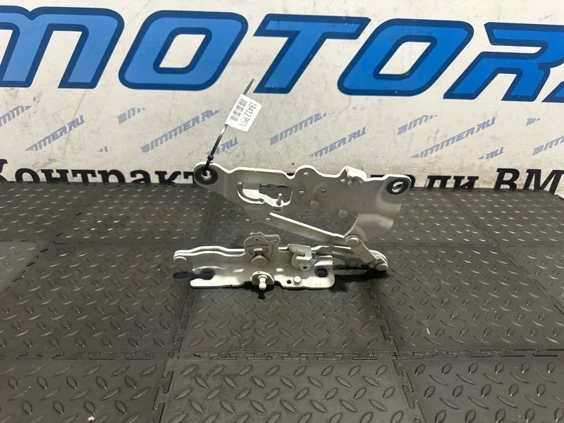 Петля капота Bmw 750Li 2013 41617291701 F02 N63B44B, левая