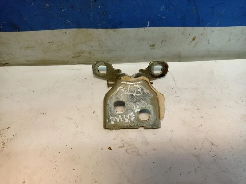 Петля двери Renault Duster 1 2010-2021 804209726R