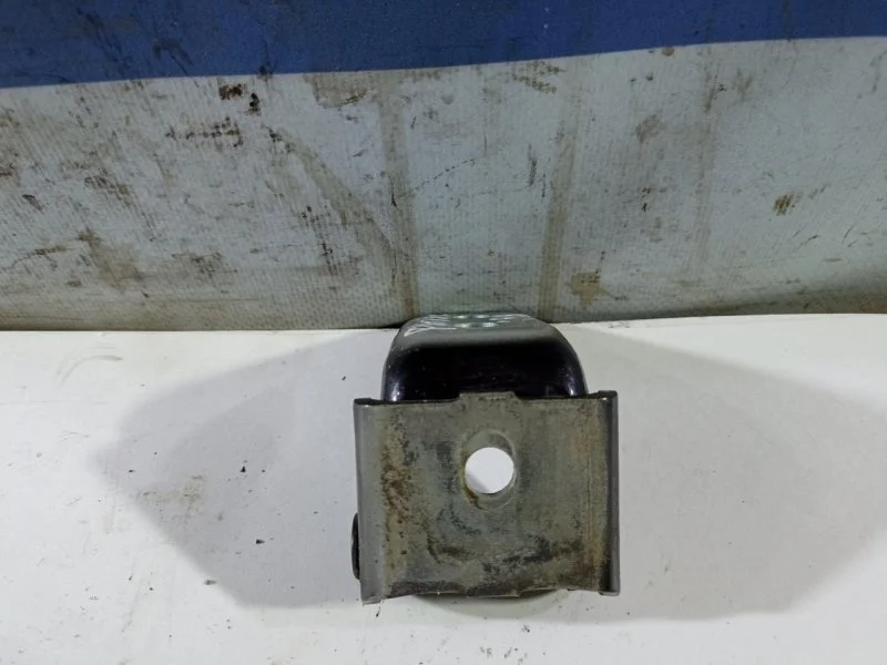 Петля двери Renault Fluence 2012 804200013R, задняя правая