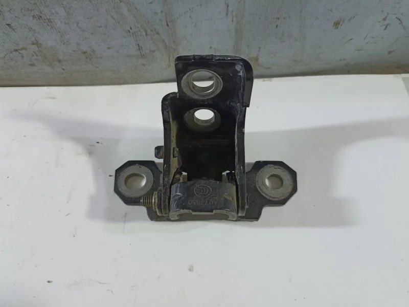 Петля двери Renault Fluence 2012 804010018R, задняя левая