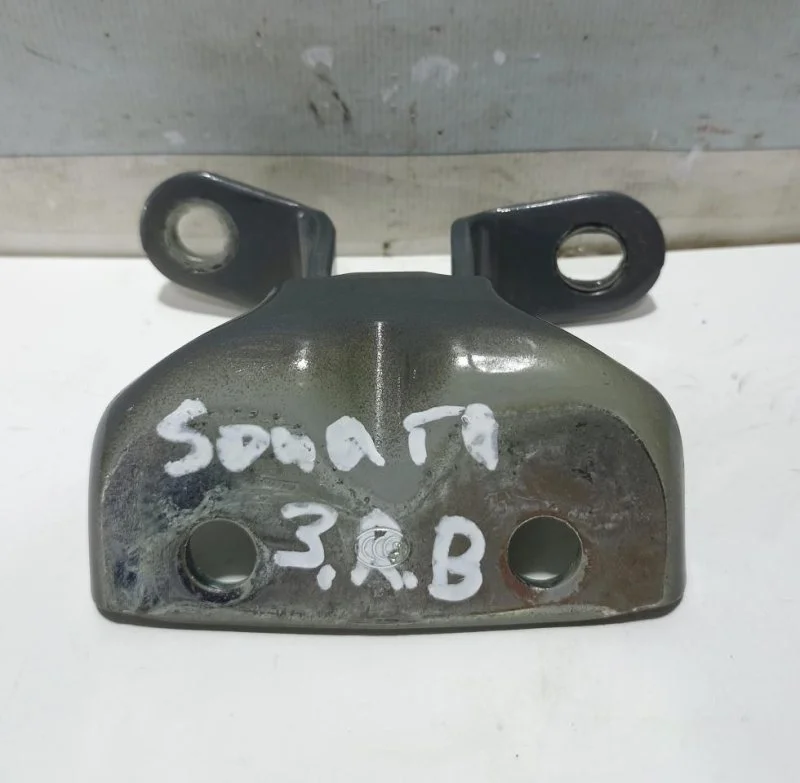 Петля двери Hyundai Sonata 8 с 2019- 794203K000 DN 2.5 G4KM, задняя правая