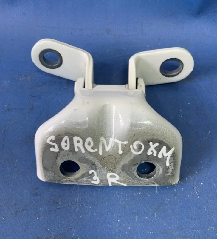 Петля Kia Sorento 2 2009 - 2018 793402B020 XM 2.4 G4KE, задняя правая