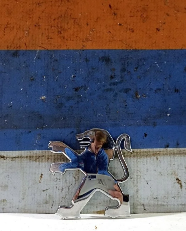 Эмблема двери багажника Peugeot 1007 2005-2009 7810AJ