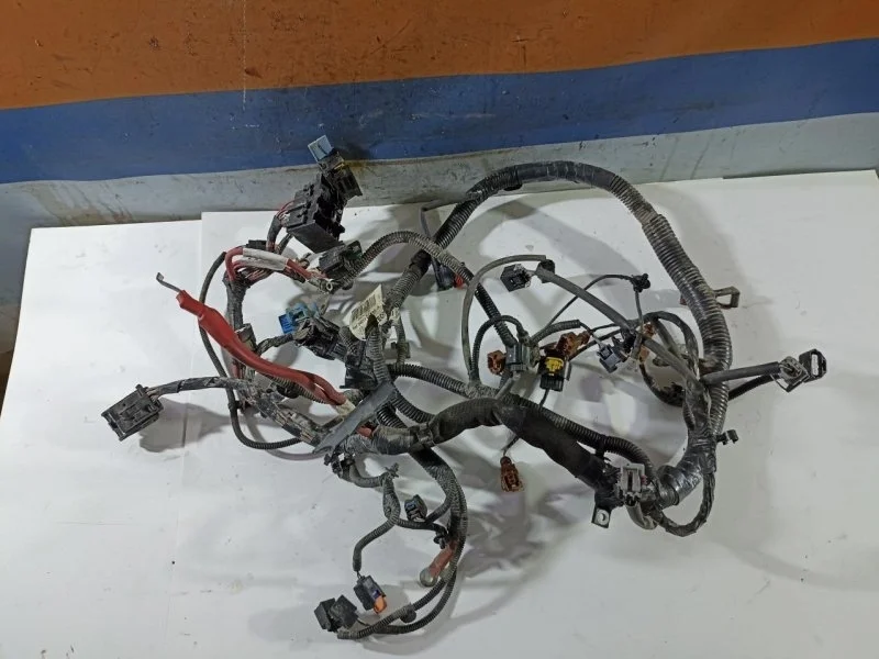 Проводка (коса) подкапотная Renault Sandero 2 с 2014- 240119024R