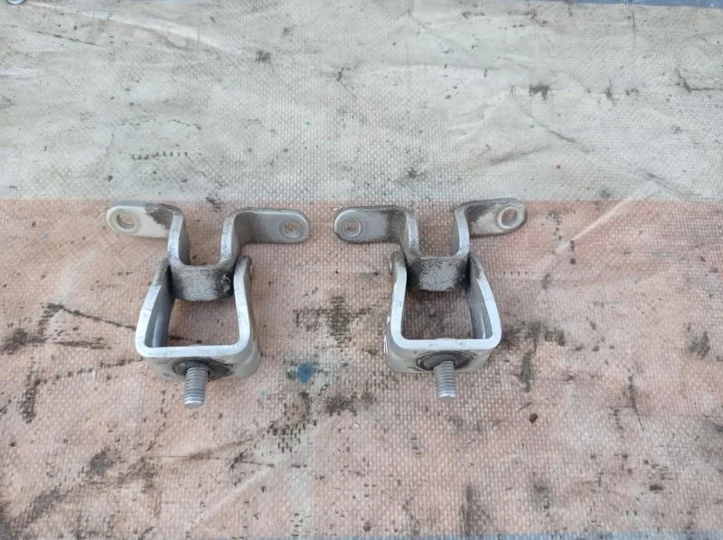 Петля Skoda Octavia A5 2004-2013 1Z5827302C 1Z, задняя правая