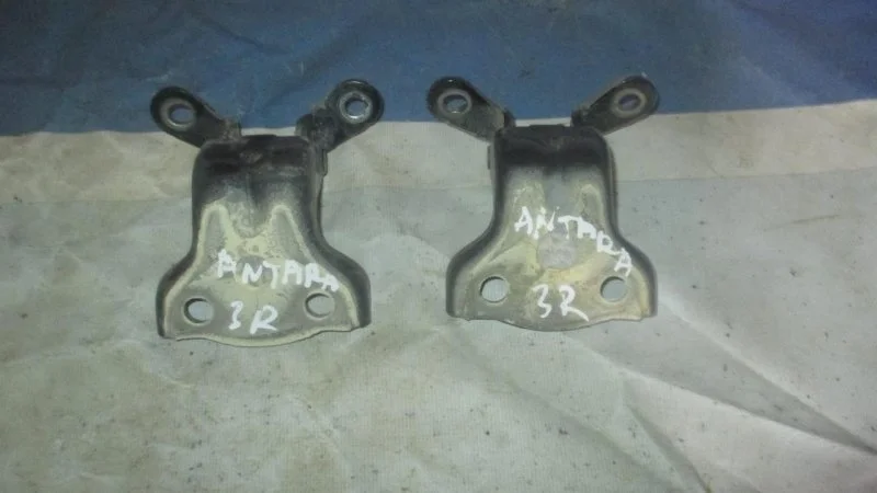 Петля Opel Antara 2011 96623964 2.4 A24XF, задняя правая