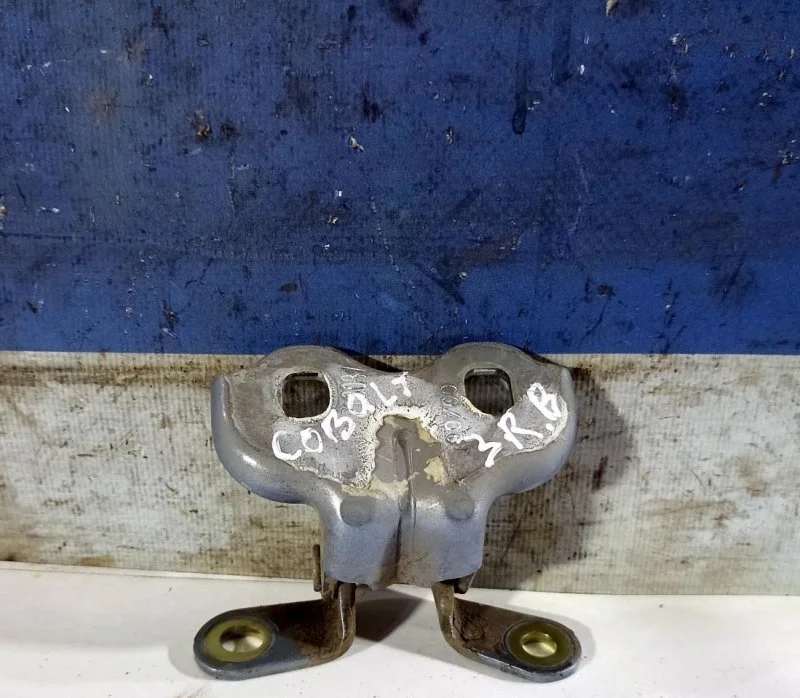 Петля Chevrolet Cobalt 13505399 T250, задняя правая