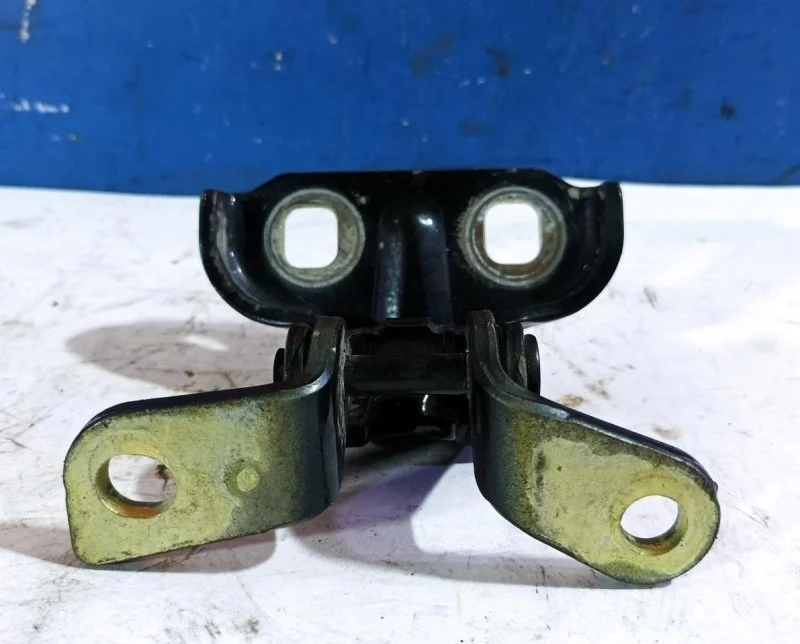 Петля двери Chevrolet Orlando 2012 13501713 J309 1.8 F18D4, задняя левая