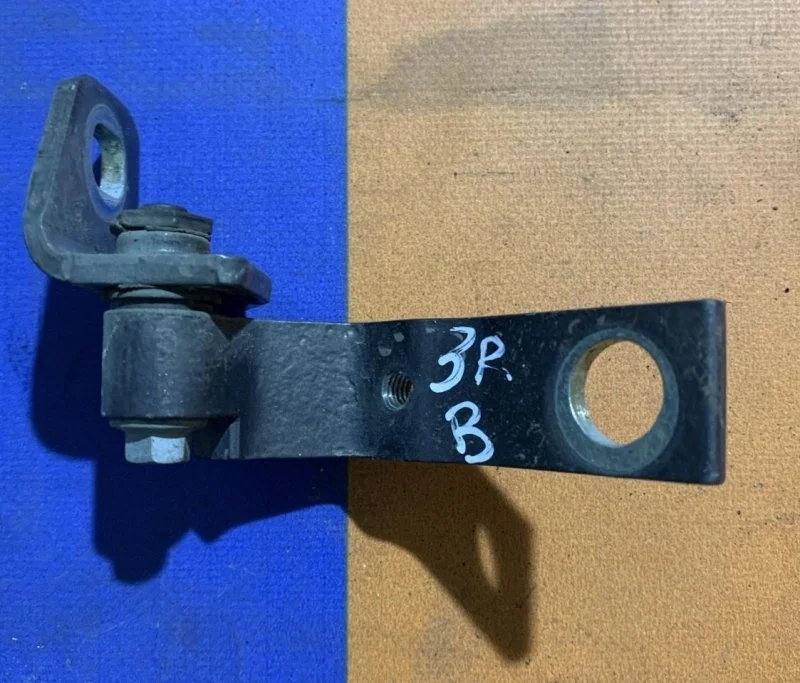 Петля Ford Focus 3 2011-2019 1879656, задняя правая