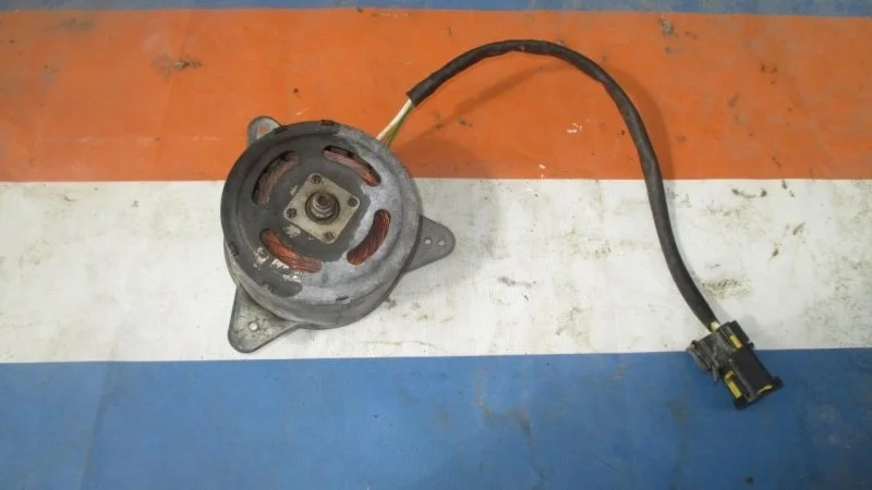 Моторчик вентилятора Peugeot 206 1998-2012 125391