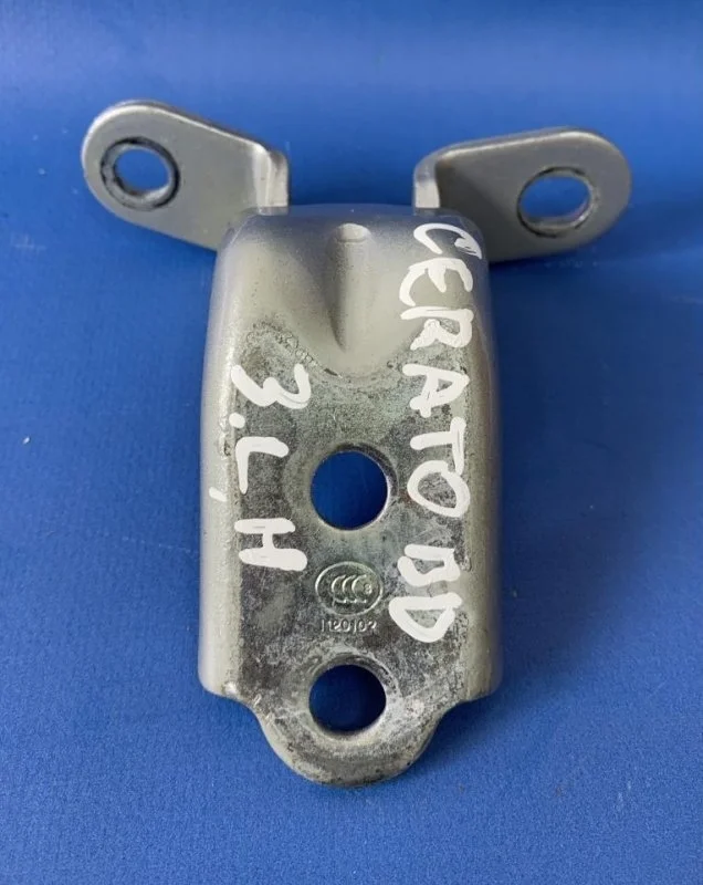 Петля двери Kia Cerato 4 с 2018- 793102E000 BD, задняя левая