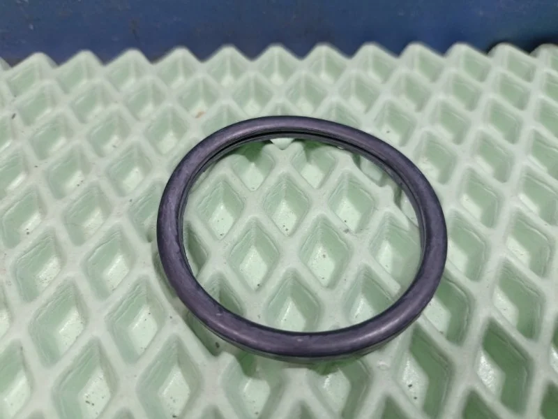 Прокладка термостата Renault Duster 1 2010-2021 32601 1.6 H4M