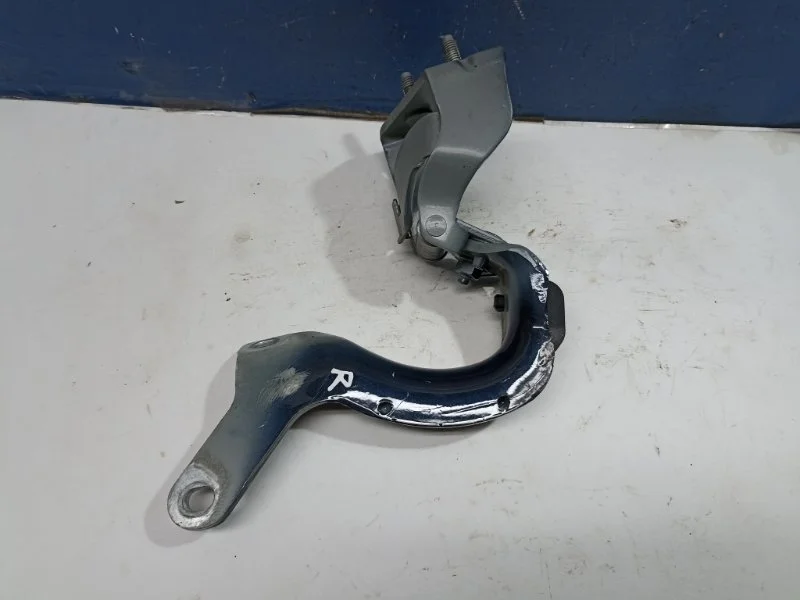 Петля двери багажника Audi Q7 2006 4L0827300B 4LB 3.0TDI BUG, правая