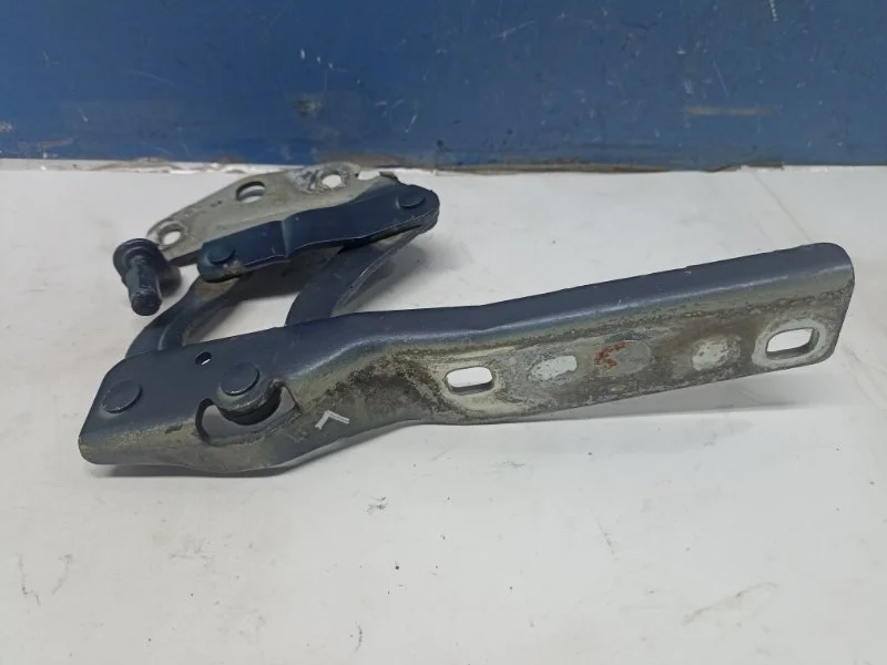 Петля капота Volkswagen Passat B7 2016 3AA823301, левая