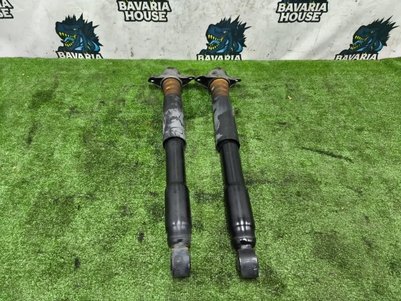 Амортизаторы комплект volkswagen Passat Alltrack 2012 3AA513049N CCZ, задние