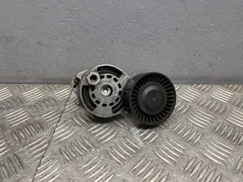 Натяжитель Audi A6 C6